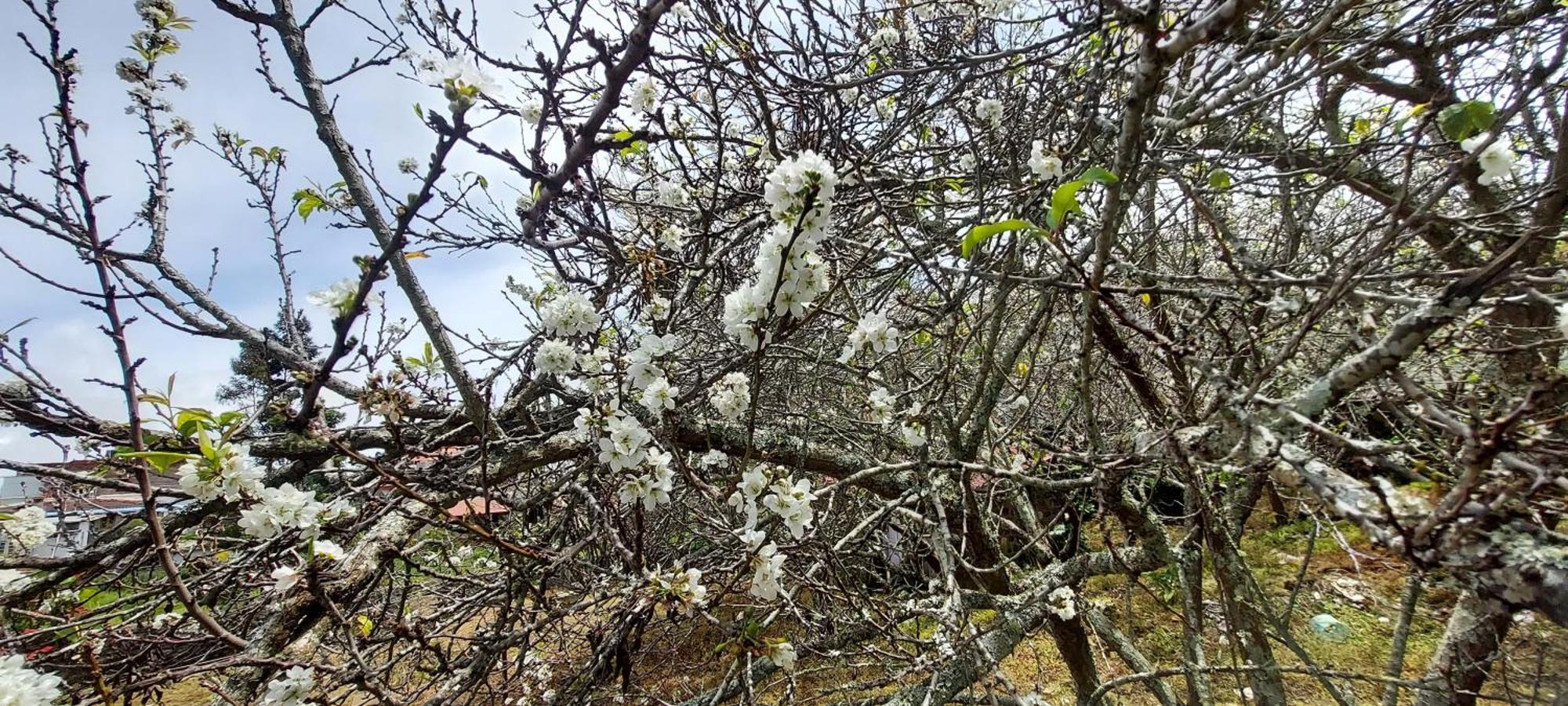 Amman Resorts Kodaikanal Zewnętrze zdjęcie