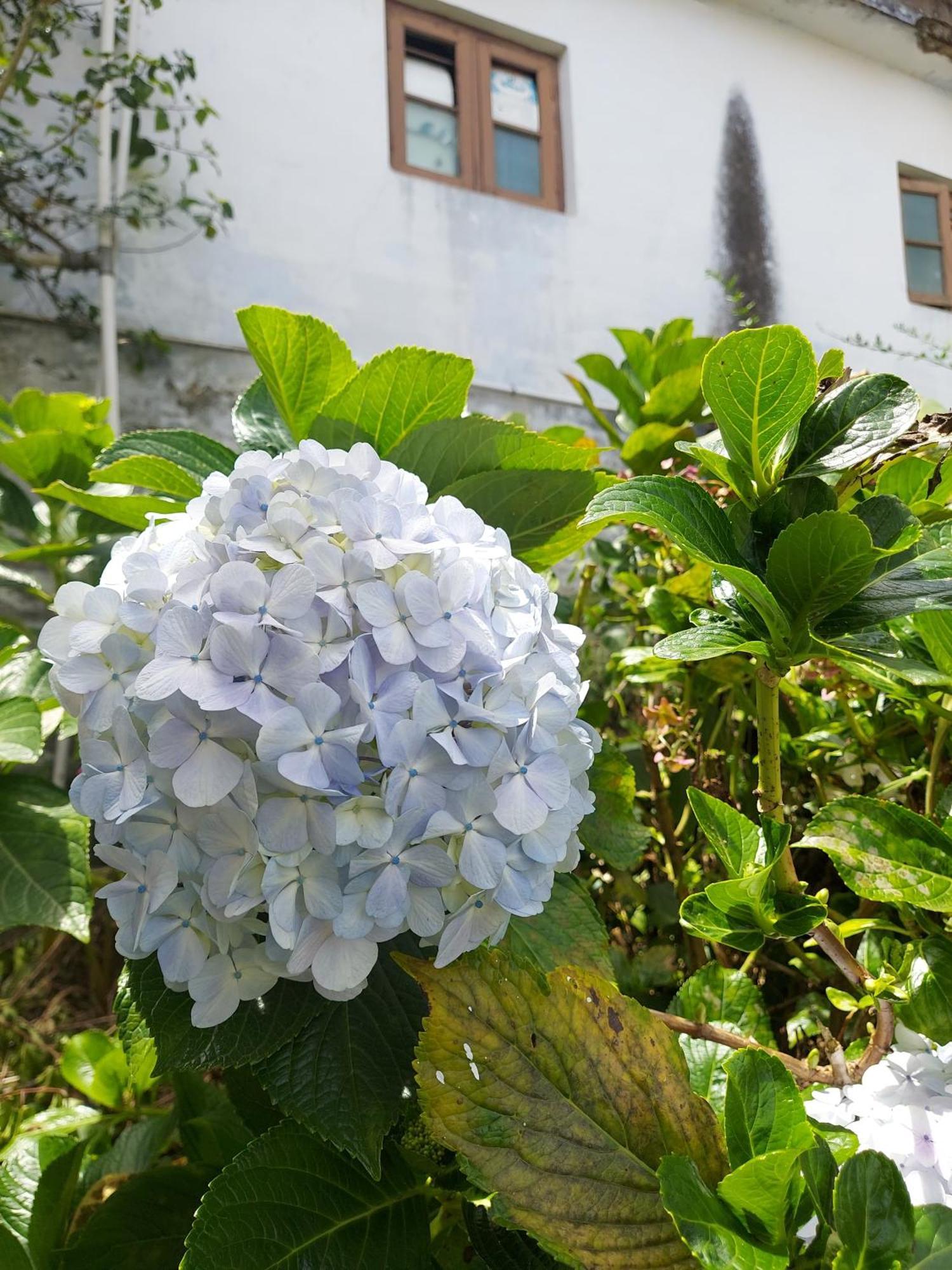 Amman Resorts Kodaikanal Zewnętrze zdjęcie